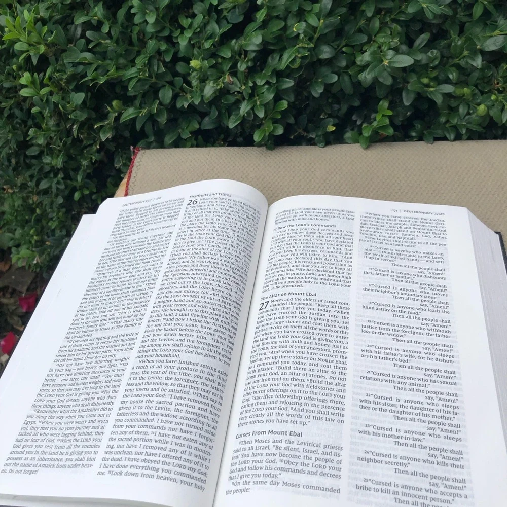 Holy Bible New International Version by Zondervan 2011